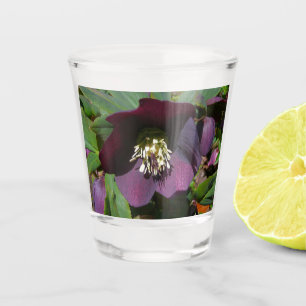 Lila Rose Lenten Schnapsglas