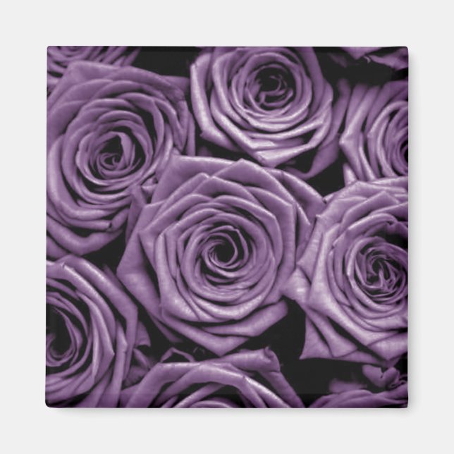Lila Rose Magnet (Vorne)