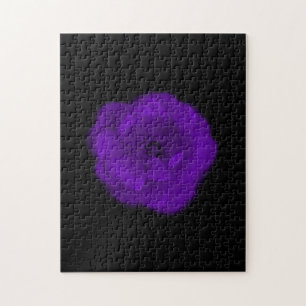 Lila Rose. Schwarzer Hintergrund