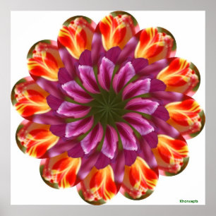 Lila, rote und gelbe Tulpen Poster