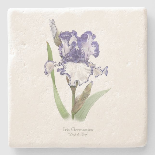 Lila Ruffled Iris Steinuntersetzer (Vorderseite)