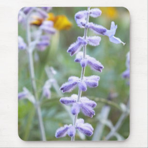 Lila russische Seite - Pervoskia Mousepad