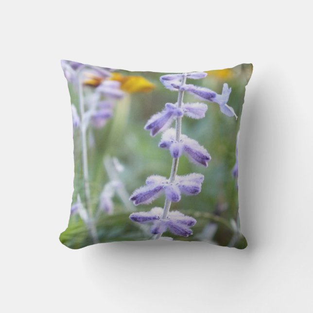 Lila Russisches Sage Blume Throw Kissen (Vorderseite)