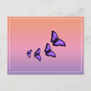 Lila Schmetterling Postkarte