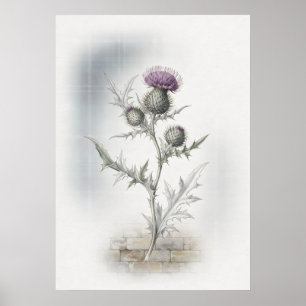 Lila schottischer Distel-Wasserfarbenposter Poster