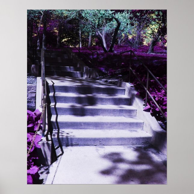 Lila Schritte durch die Violetten Blumen Poster (Vorne)