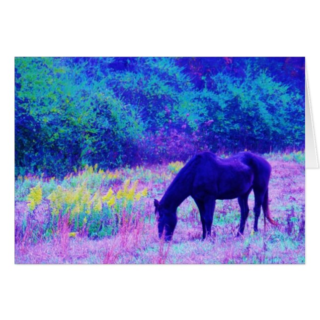Lila Schwarzes Pferd im Regenbogenfeld (Vorderseite (Horizontal))