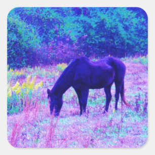 Lila Schwarzes Pferd im Regenbogenfeld Quadratischer Aufkleber