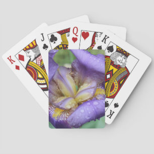 Lila Schwertlilie (Iris Germanica) Spielkarten