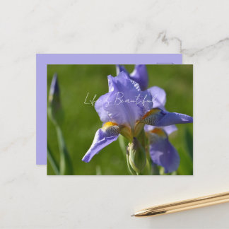 Lila Schwertlilie (meine Fotografie) Postkarte