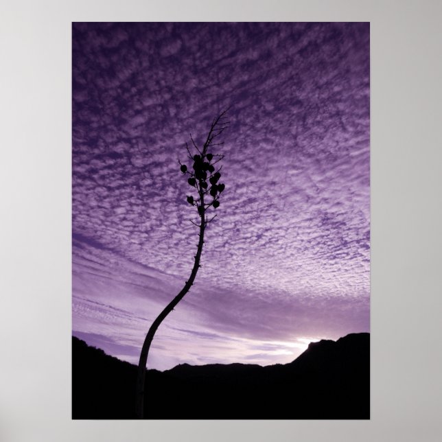 Lila Sky Landschaft Poster (Vorne)
