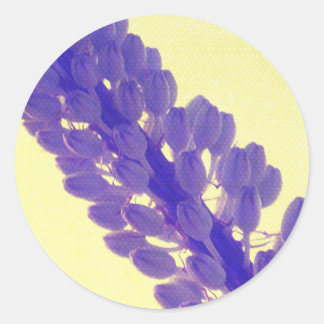 Lila Sommer-Blume-Aufkleber Runder Aufkleber