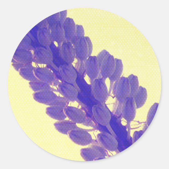 Lila Sommer-Blume-Aufkleber Runder Aufkleber (Vorderseite)