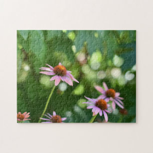 Lila Sommergarten Sommerfotografie