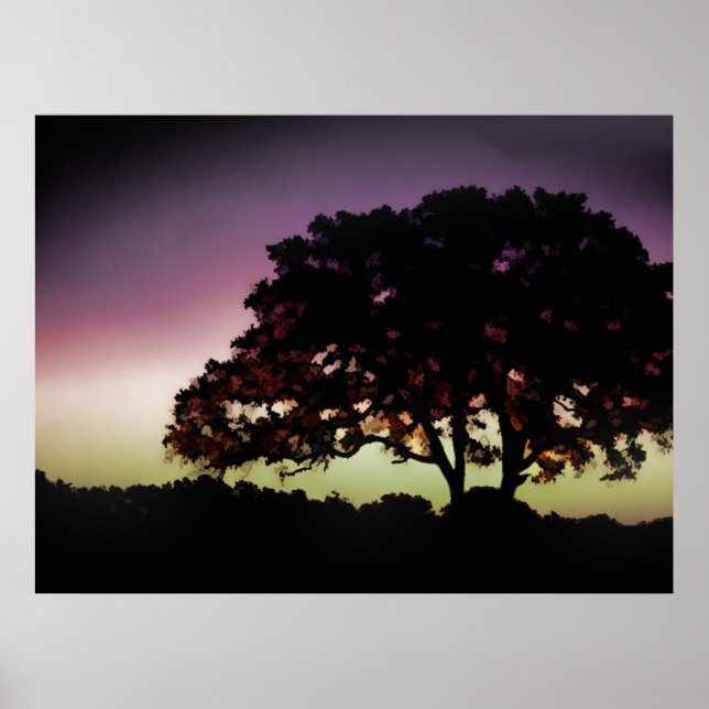 Lila Sonnenuntergang und Silhouette aus Eichenbaum Poster (Vorne)