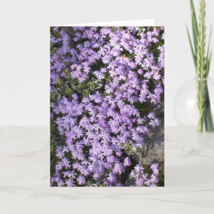 'Lila Springtime' leere Grußkarte Karte