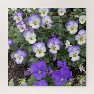 Lila Stiefmütterchen-Blumen-Blumen-Puzzle-Geschenk