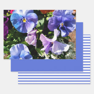Lila Stiefmütterchen-Blumen Streifen und einfarbig Geschenkpapier Set