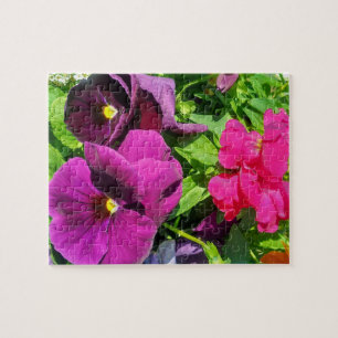 Lila Stiefmütterchen-Blumenfoto