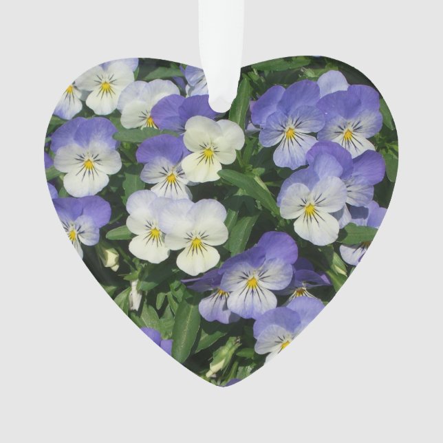 Lila Stiefmütterchen Garten Blumen Ornament (Vorderseite)