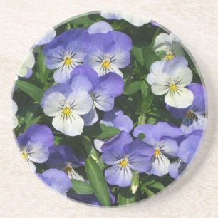 Lila Stiefmütterchen Garten Blumen Sandstein Untersetzer