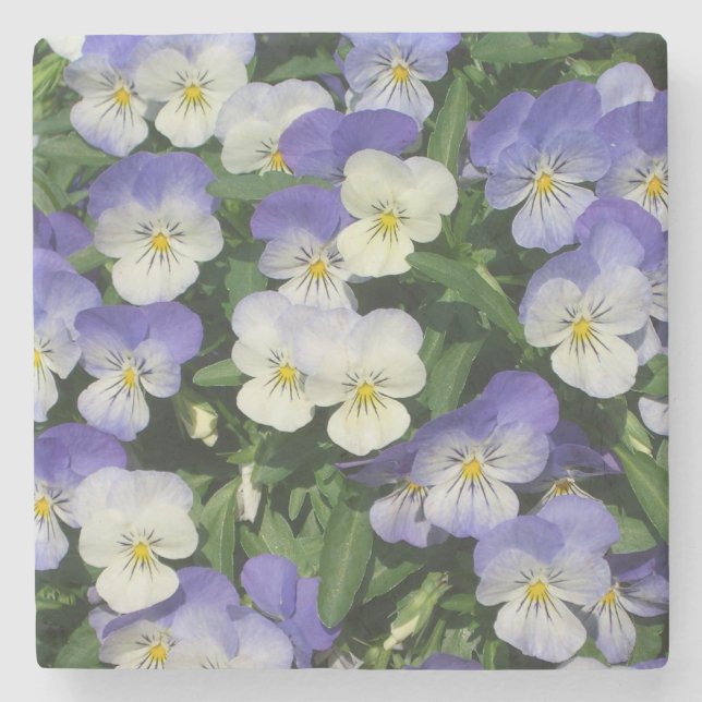 Lila Stiefmütterchen Garten Blumen Steinuntersetzer (Vorderseite)