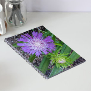 Lila Stoke's Aster Floral Notizblock