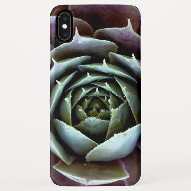 Lila Sukkulentes Nah-Up Case-Mate iPhone Hülle (Rückseite)