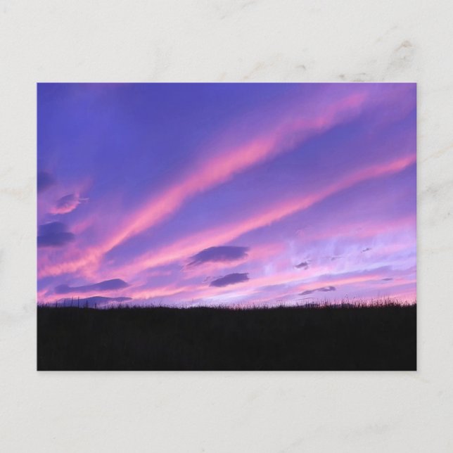 Lila Sunset Feiertagspostkarte (Vorderseite)