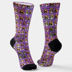 Lila Tartan Cavalier Spaniels, Crew Socken