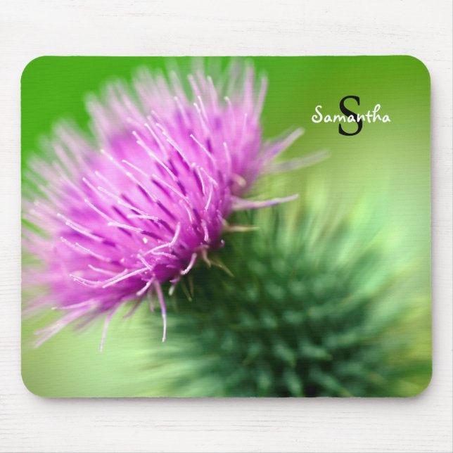 Lila Thistle Mouse-Matte Mousepad (Vorne)