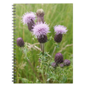 Lila Thistle-Notebook Notizblock