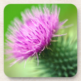 Lila Thistle Untersetzer