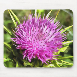 Lila Thistle Wildblume Blumenmuseum Mousepad