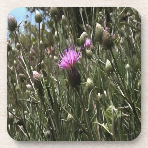 Lila Thistle Wildblume Realistische Kunst Getränkeuntersetzer