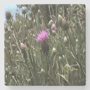 Lila Thistle Wildblume Realistische Kunst Steinuntersetzer