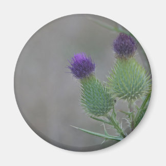 Lila Töne Magnet
