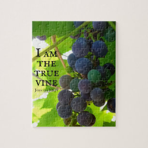 Lila Trauben Foto Evangelium John Bible Verse