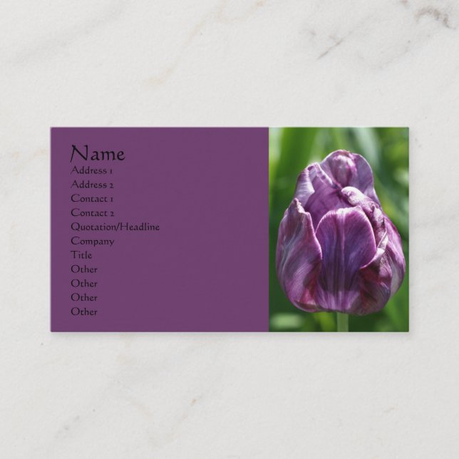 Lila Tulip Flower Fotografy Business Card Visitenkarte (Vorderseite)