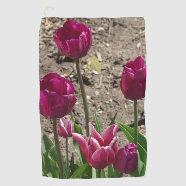 Lila Tulip Golfhandtuch (Vorderseite)