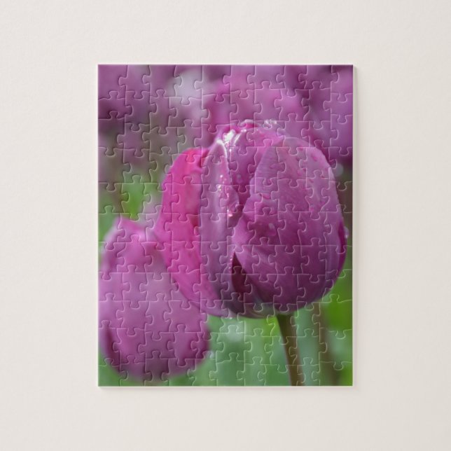 Lila Tulip mit Wassertropfen (Vertikal)