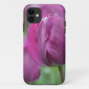Lila Tulip mit Wassertropfen title_seo2