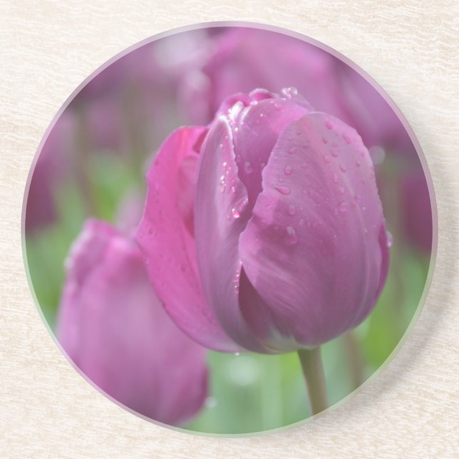 Lila Tulip mit Wassertropfen Sandstein Untersetzer (Vorne)