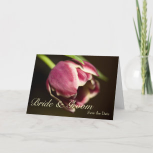 Lila Tulip ・ Save the Date Karte