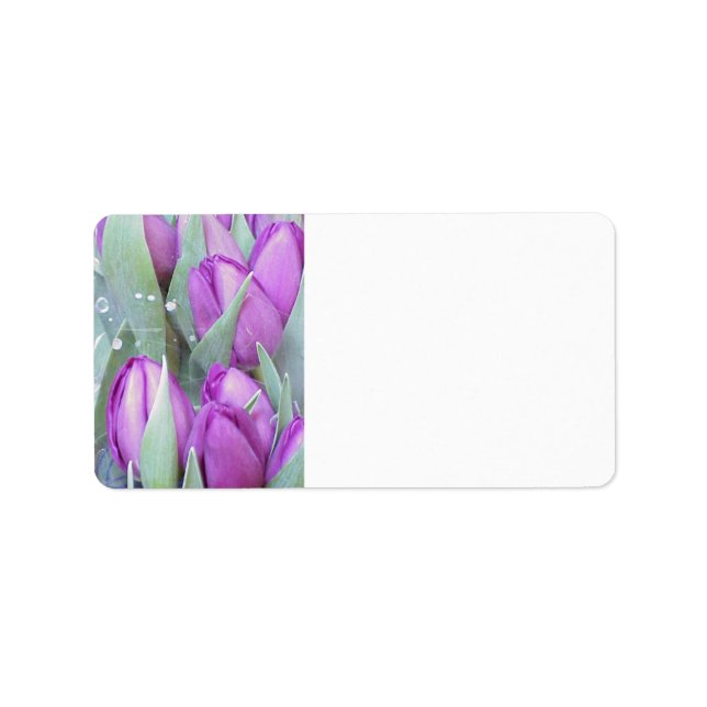 Lila Tulips Adressaufkleber (Vorne)