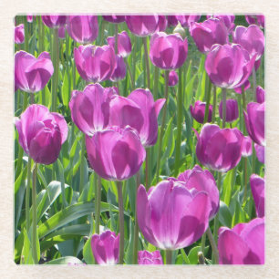 Lila Tulips Glasuntersetzer