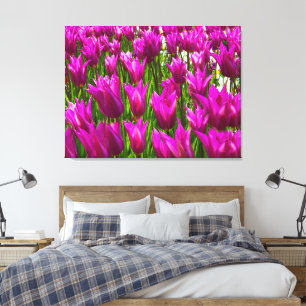 Lila Tulips in Keukenhof Holland Premium verpackt Leinwanddruck