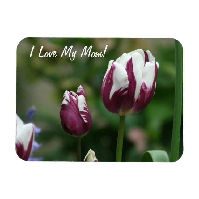 Lila Tulips-Mama Magnet (Horizontal)