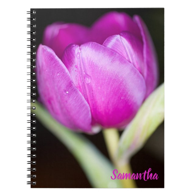 Lila Tulpe Blume Spiralheft Notizblock (Vorderseite)
