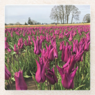 Lila Tulpen Glasuntersetzer